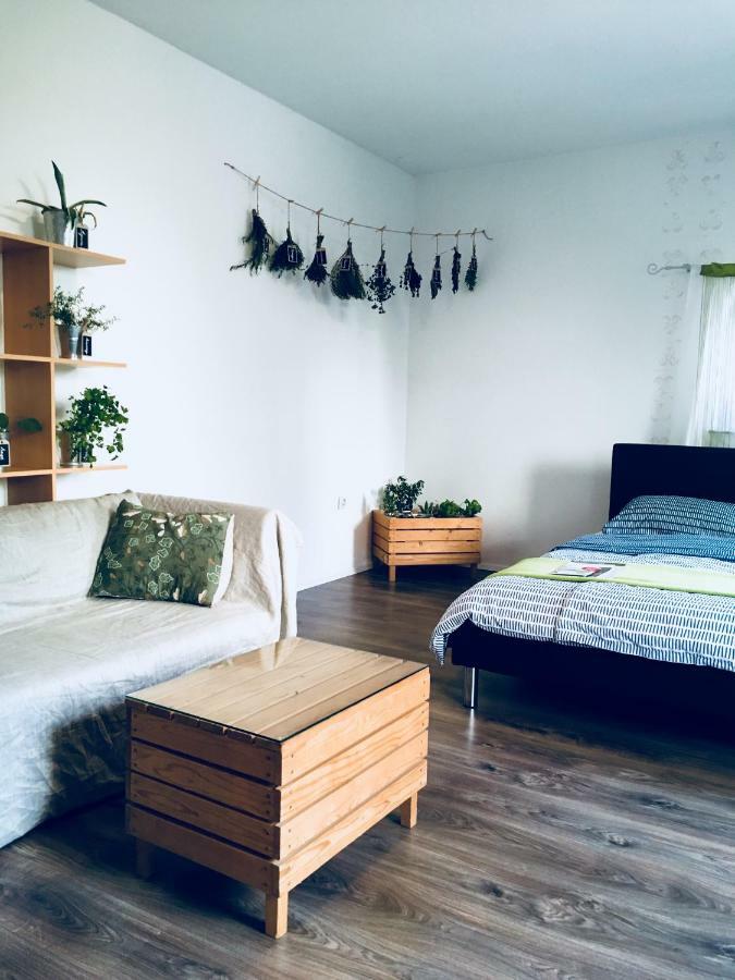 Urban Herbs Apartment 卢布尔雅那 外观 照片